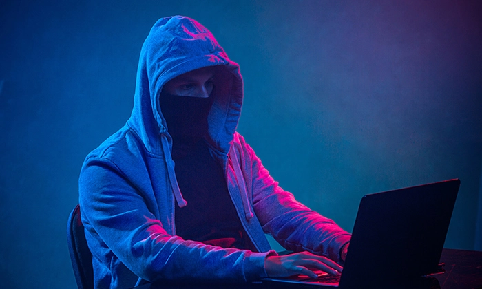 consultor burlão na net