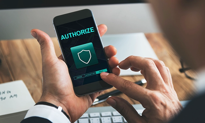 aplicação de seguros