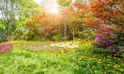 jardim verde na primavera