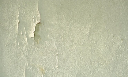 parede pintada com bolor