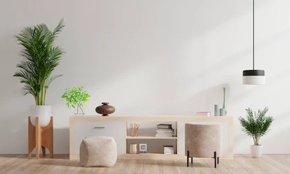 sala com plantas