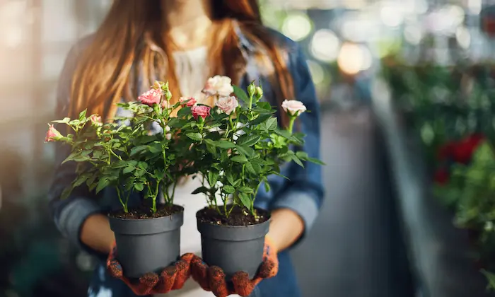 mulher com vasos com plantas